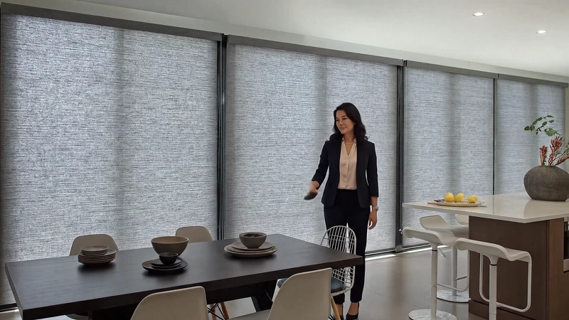 Professional roller shades installation